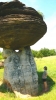 PICTURES/Mushroom State Park - Marquette, KS/t_Saucer4.JPG